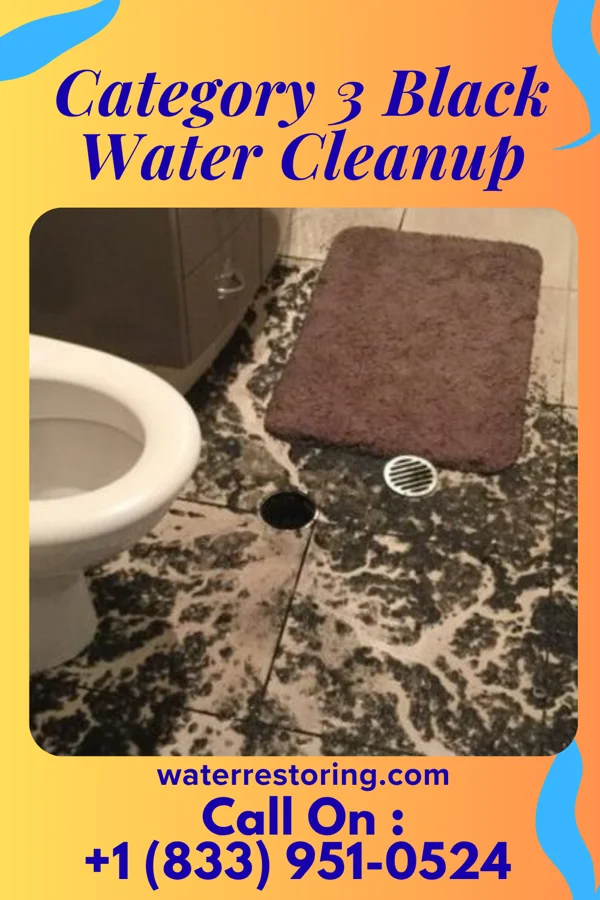 Category 3 Black Water Cleanup in Greenville, OK
